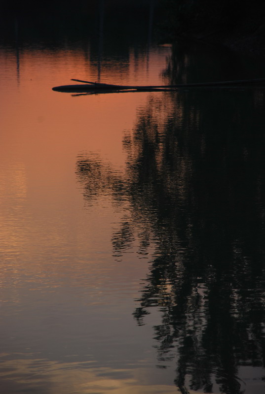 dsc_7574.jpg