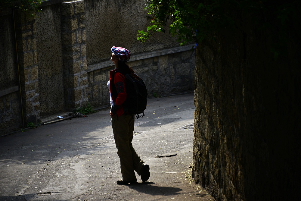 _dsc8648.jpg