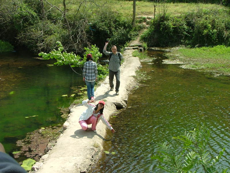 dscf7817.jpg