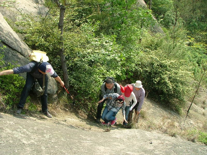 dscf7994.jpg