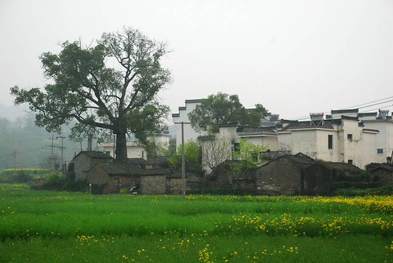 dsc_6128.jpg