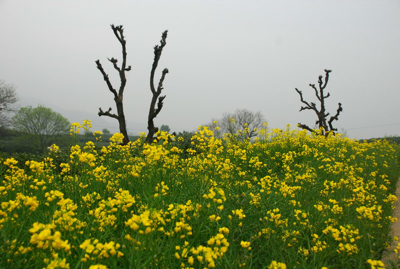 dsc_6134.jpg