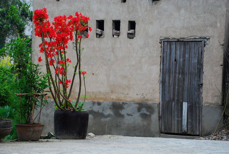 dsc_6142.jpg