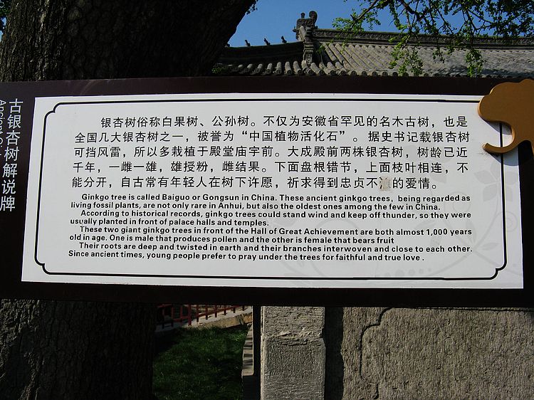 neo_img_img_6053.jpg