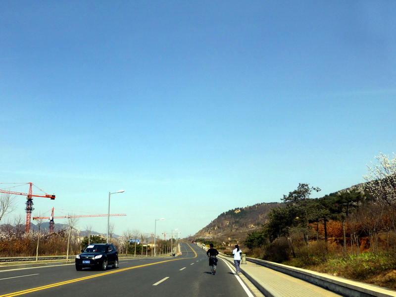 p1040574.jpg