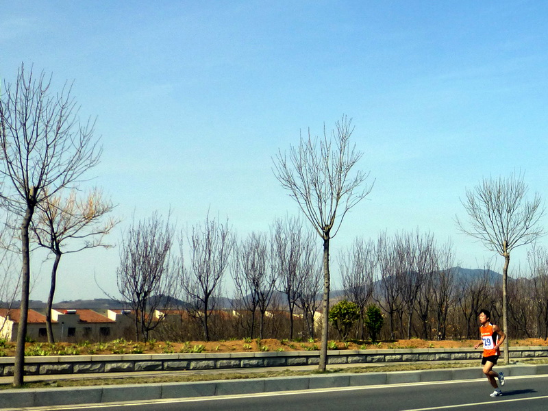 p1040581.jpg