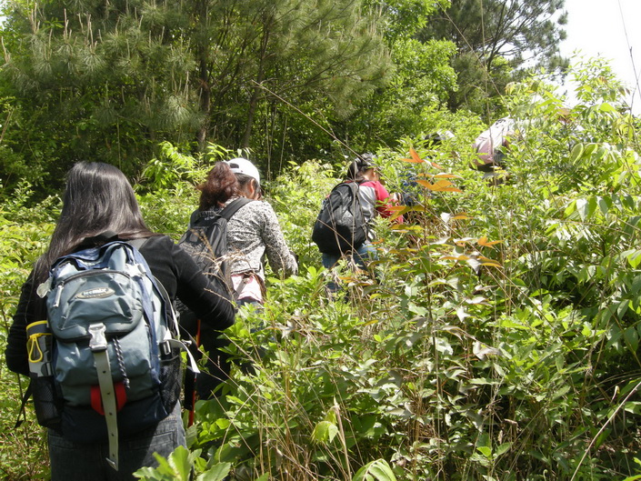 dscn8162.jpg