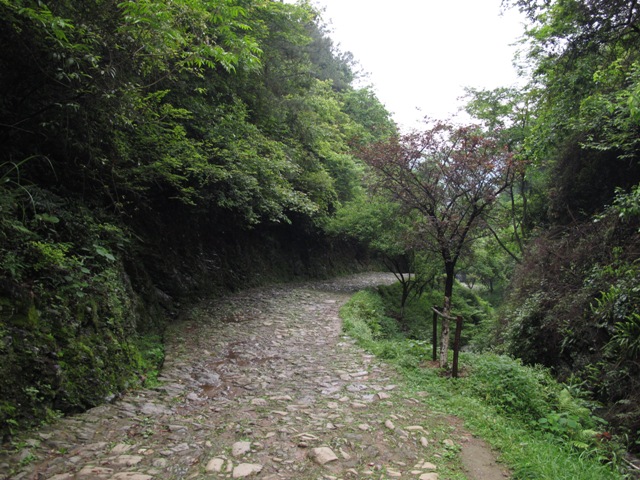 ŵ(㶫).jpg