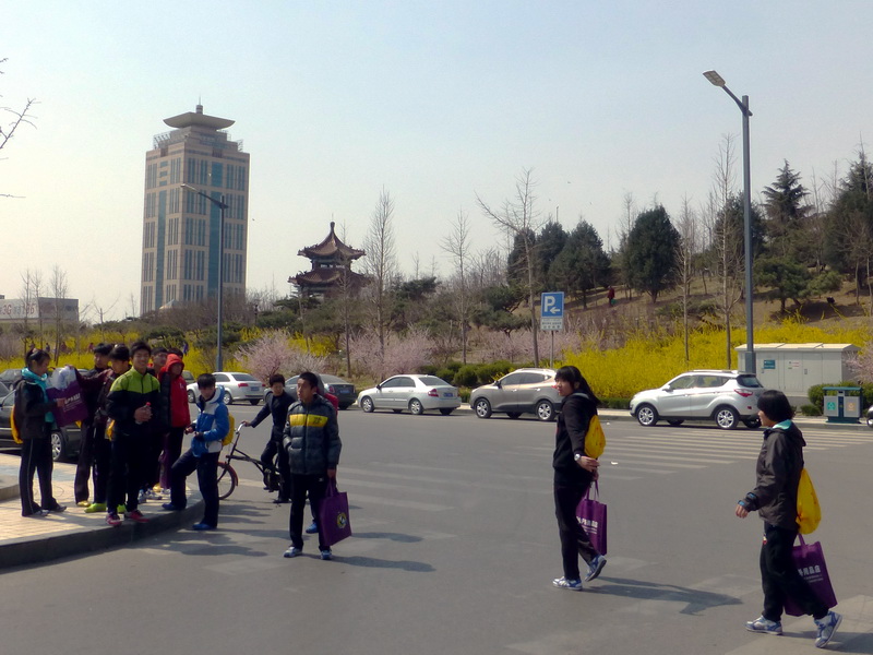 p1040666.jpg