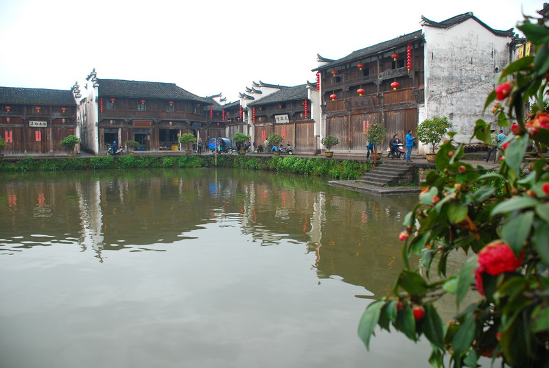 dsc_6546.jpg