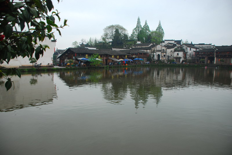 dsc_6551.jpg