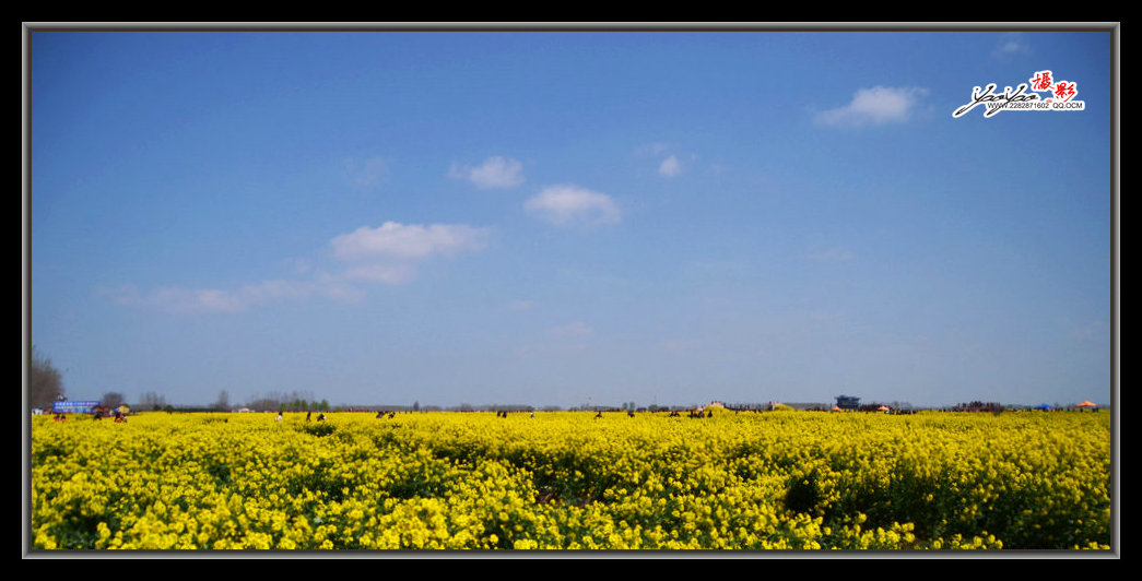 dsc_2534.jpg