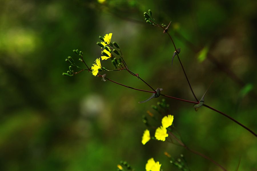neo_img_img_1685.jpg