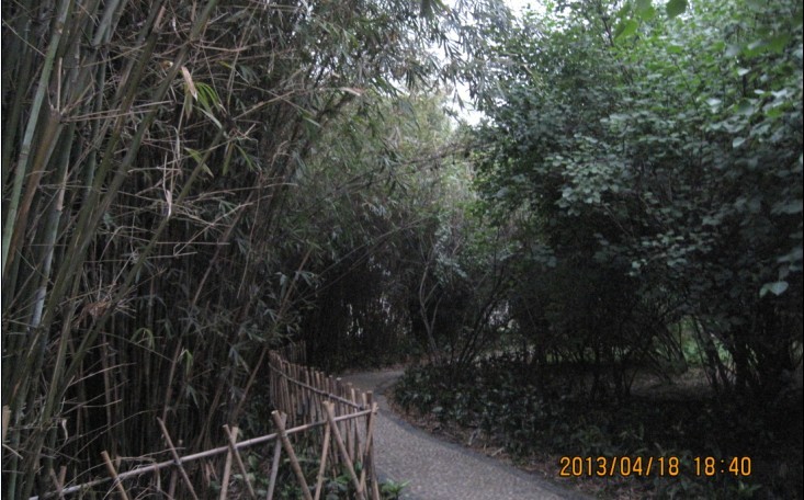 010.jpg