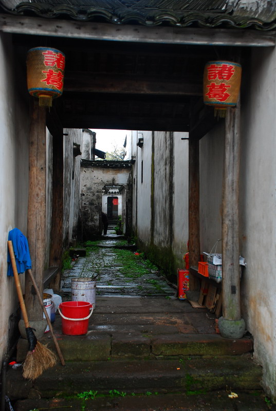 dsc_6568.jpg