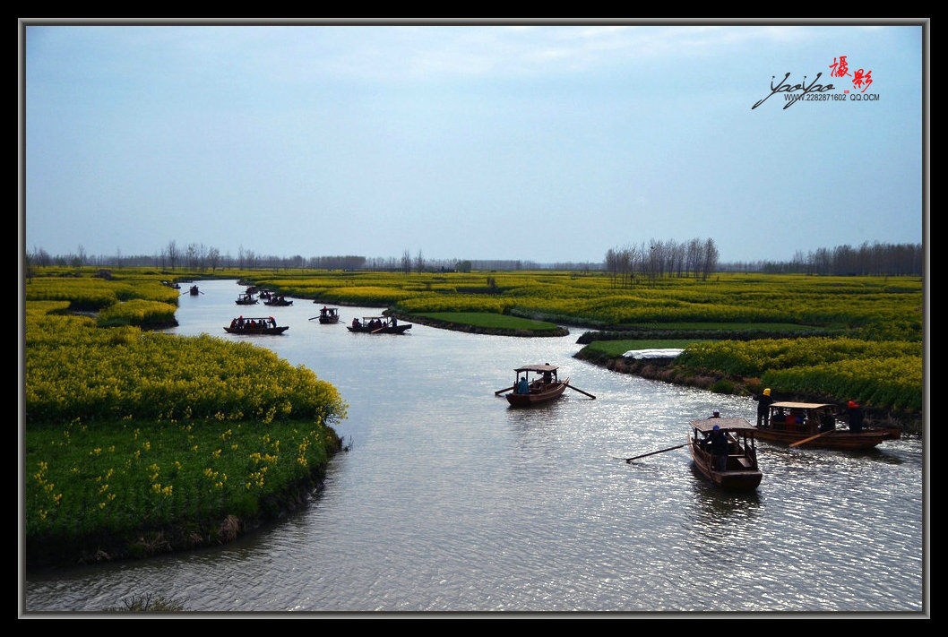 dsc_2119.jpg
