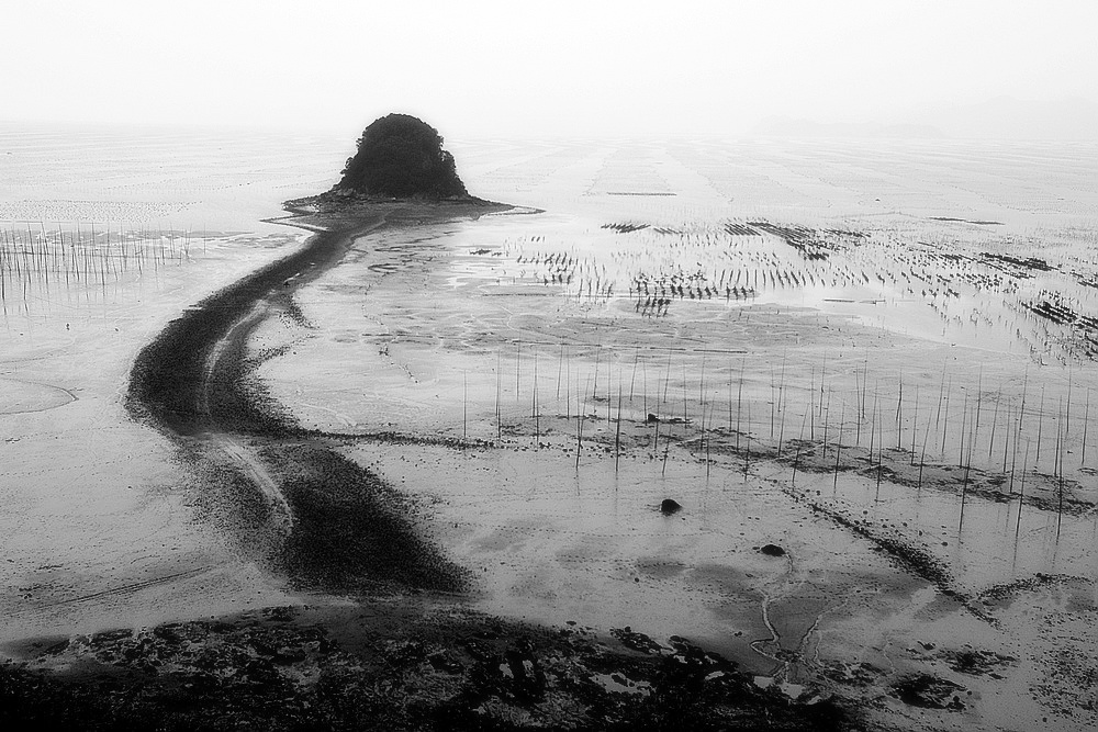 dsc_0024.jpg