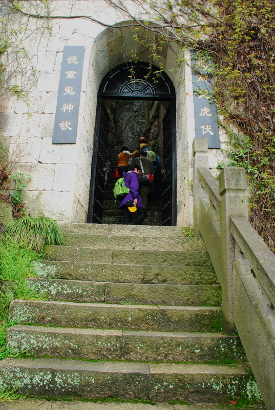 dsc_6919.jpg