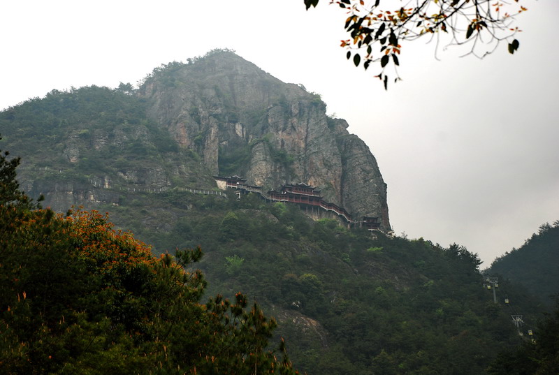 dsc_6982.jpg