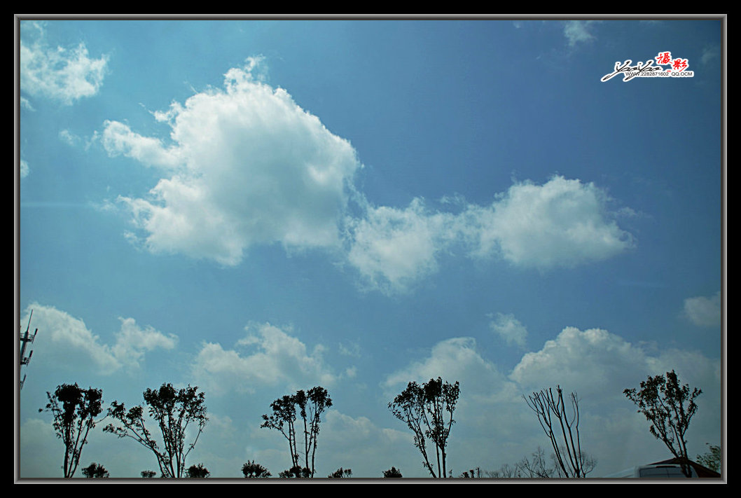 dsc_2576.jpg