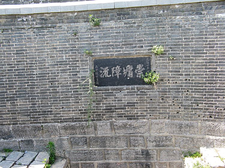 neo_img_img_5959.jpg