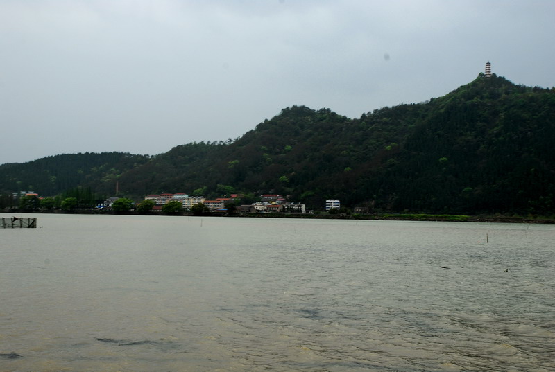 dsc_7311.jpg