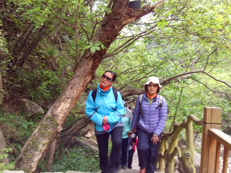 dscf3739_.jpg