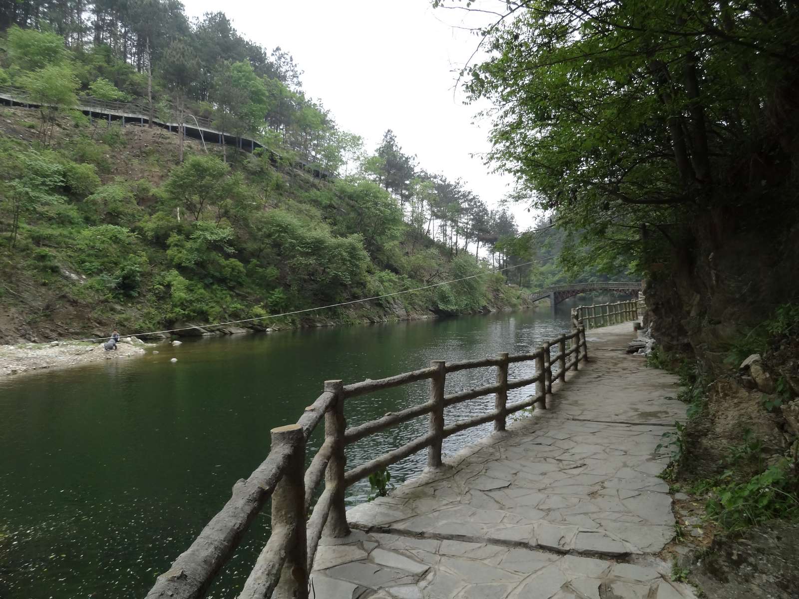 dsc02718_neo_img.jpg