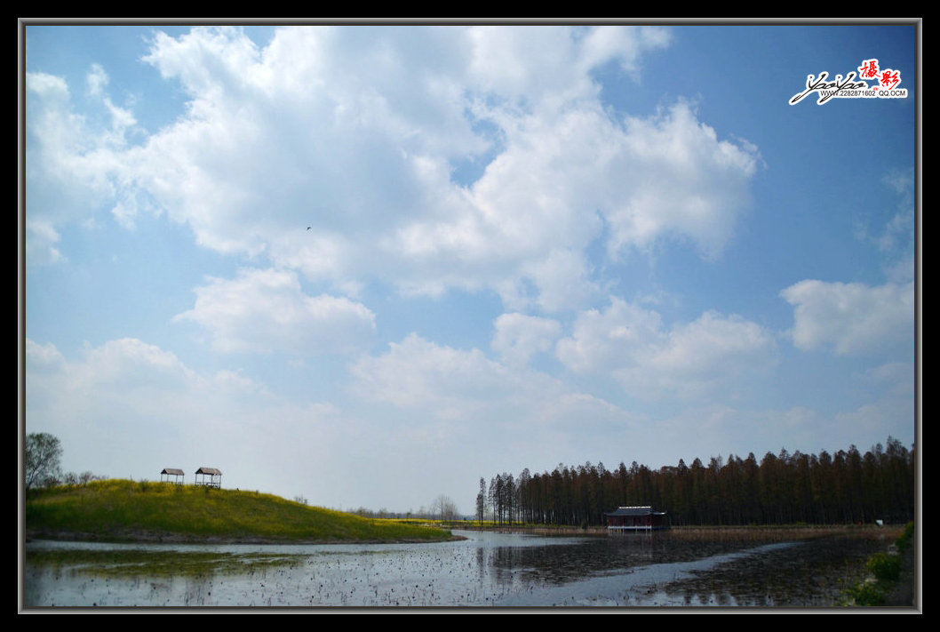 dsc_2605.jpg
