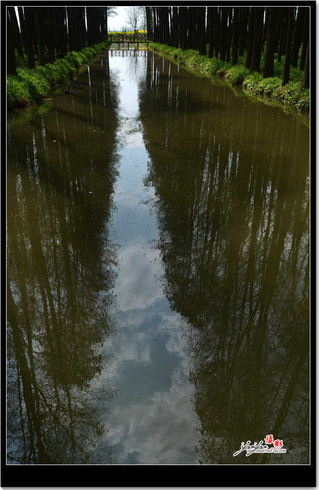 dsc_2629.jpg