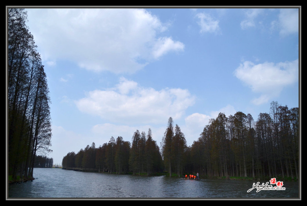 dsc_2635.jpg