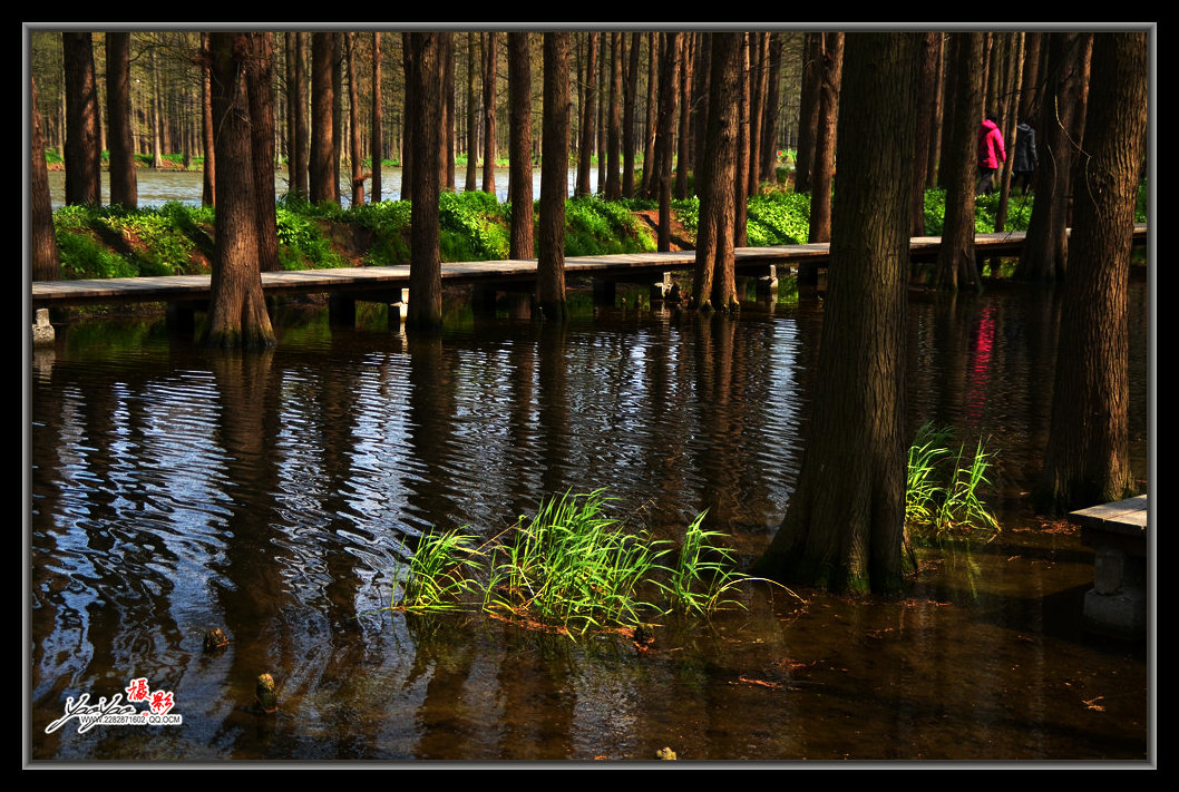 dsc_2691.jpg