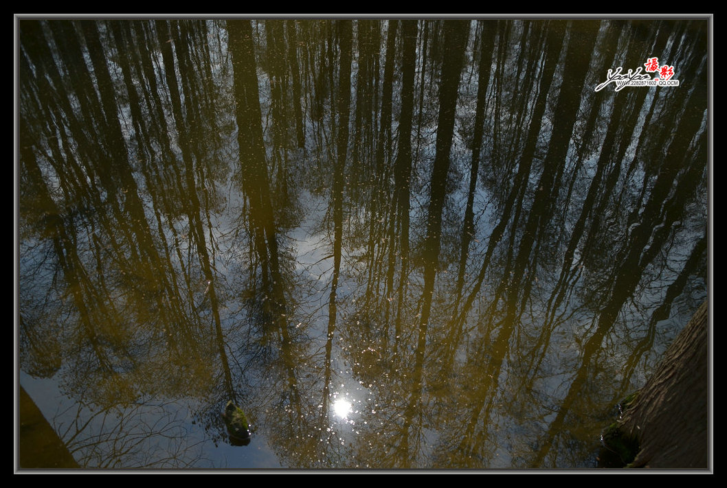 dsc_2655.jpg