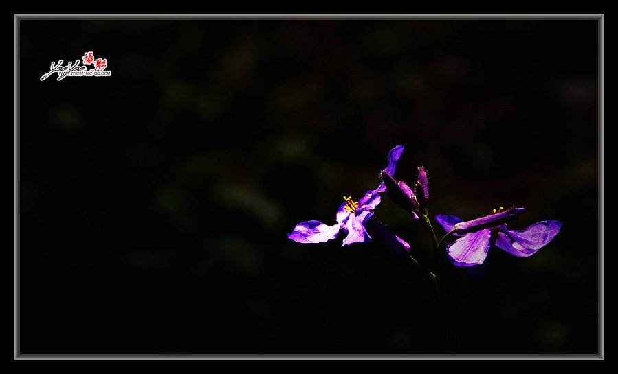dsc_2708.jpg