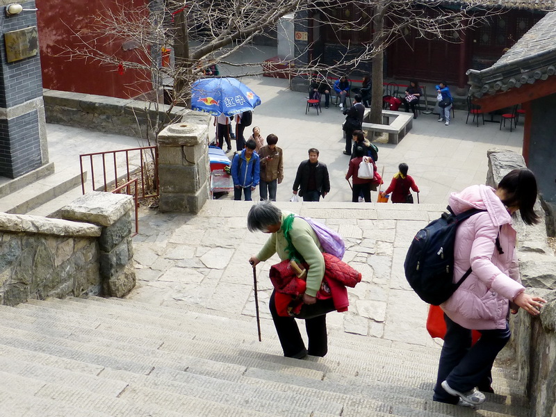 p1040194.jpg