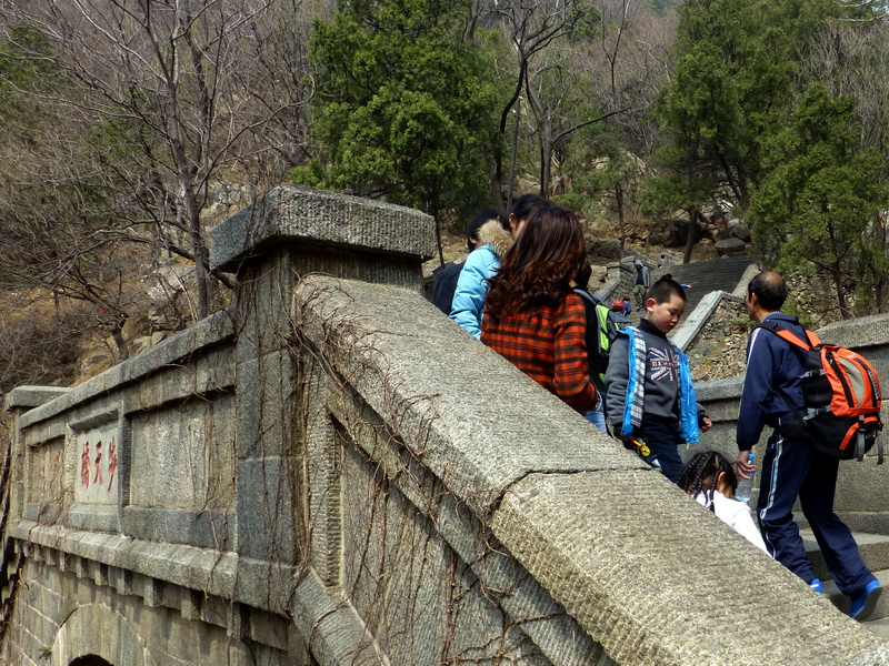 p1040196.jpg