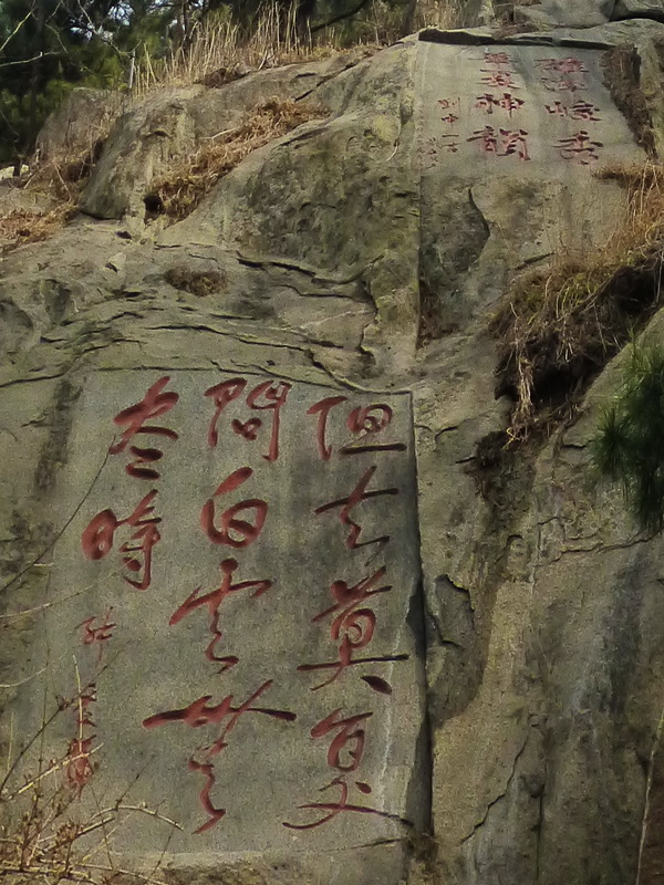 p1040201.jpg