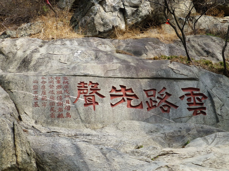 p1040215.jpg