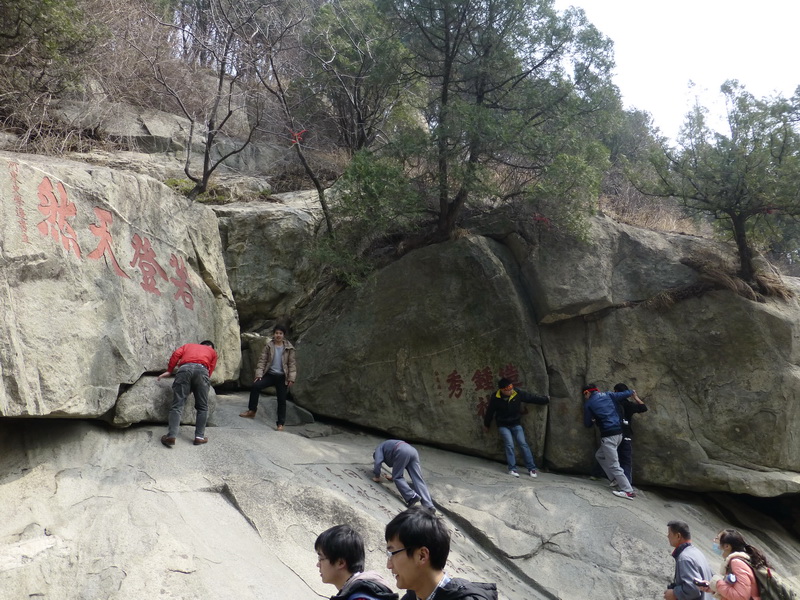 p1040245.jpg
