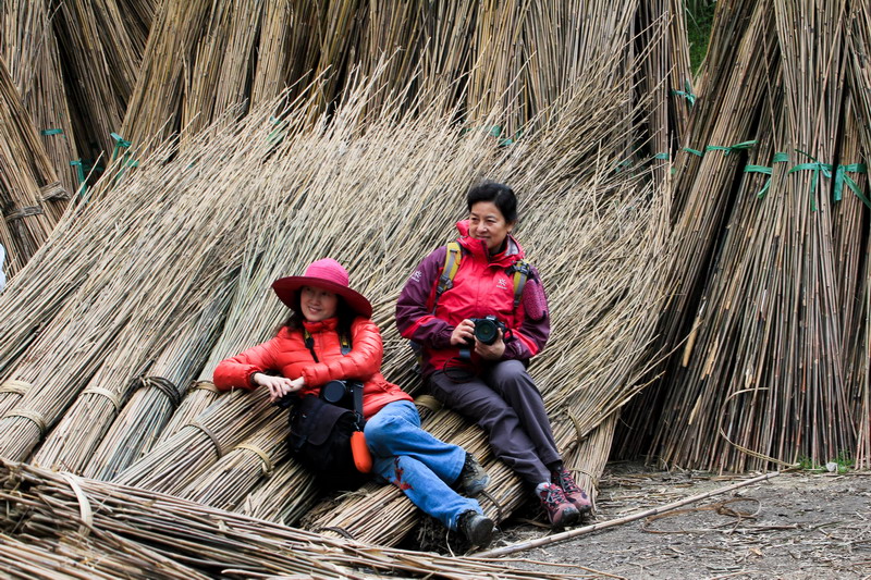 img_8336_缩小大小.jpg