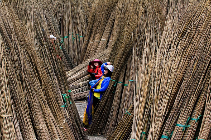 img_8326_缩小大小.jpg