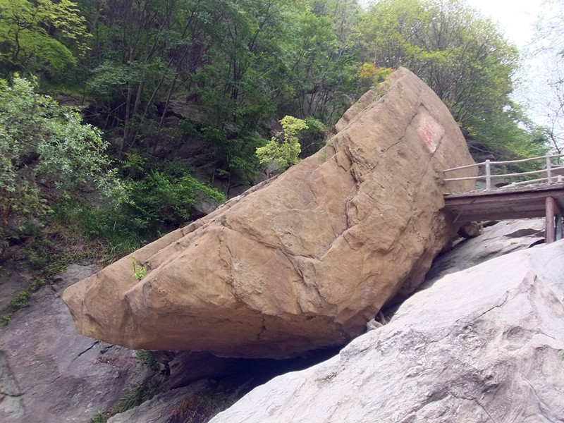 dscf3781_.jpg