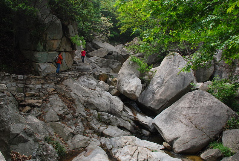 dsc_7777.jpg