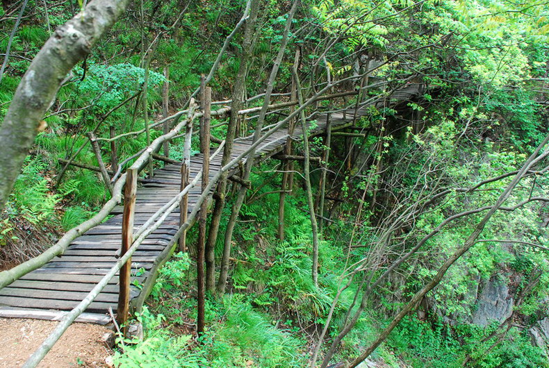 dsc_7766.jpg