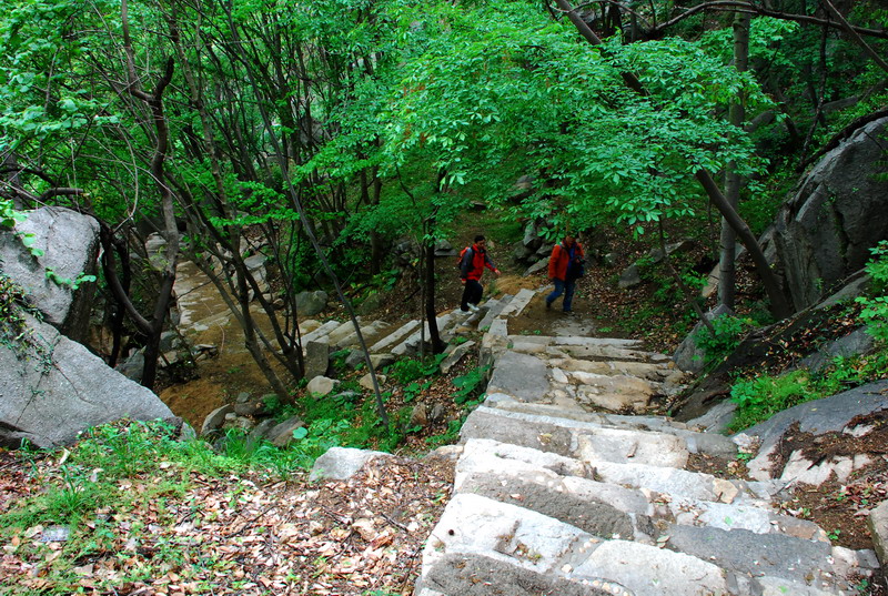 dsc_7790.jpg