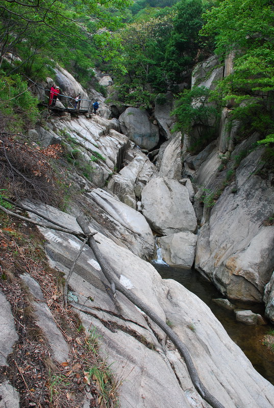 dsc_7809.jpg