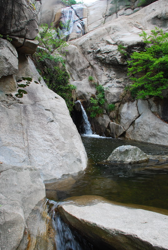 dsc_7851.jpg