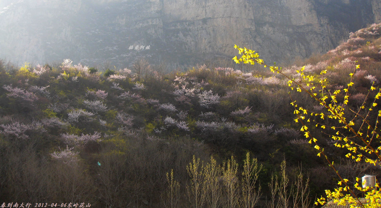 2012ȫӰ 533-1.jpg