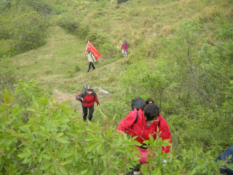 dscn8265.jpg