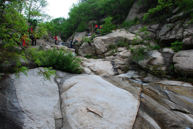 dsc_7922.jpg